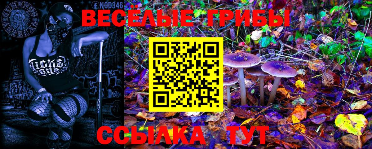 Галлюциногенные грибы Psilocybe  Галлюциногенные грибы Cubensis  Вход с VPN  Сибай 