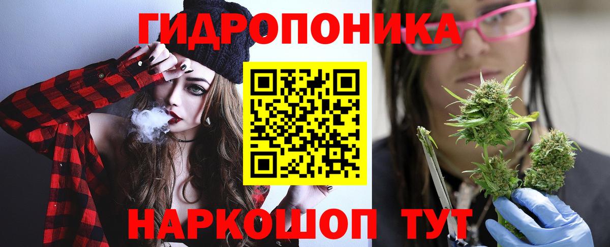 Бошки марихуана OG Kush Сибай